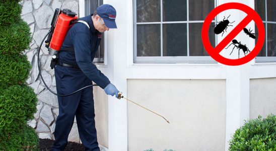 Solhan Kemirgen İlaçlama böcek ilaçlama ve haşere kontrolü — ilaclama-tr.com